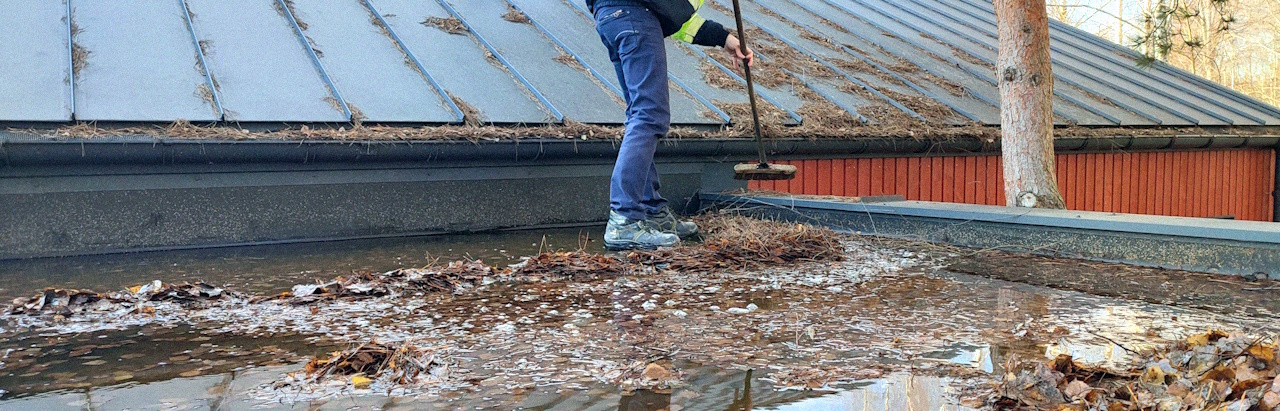 Removing leaves and debris from a roof in Toronto