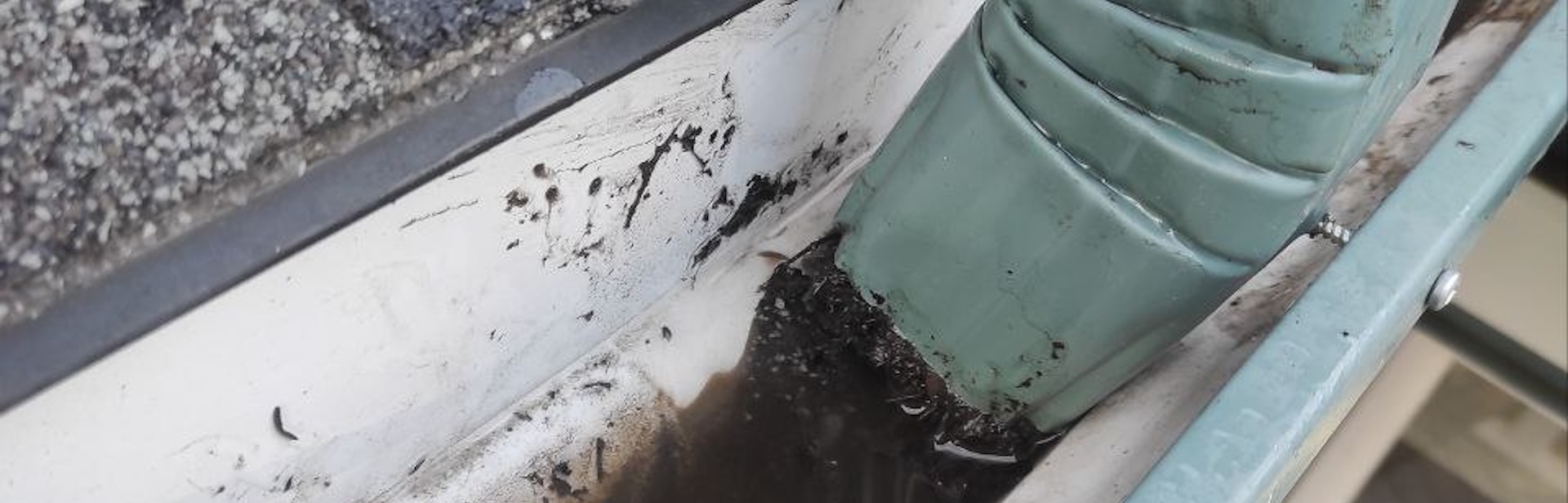 4 Ways Clogged Gutters Will Destroy Your Home