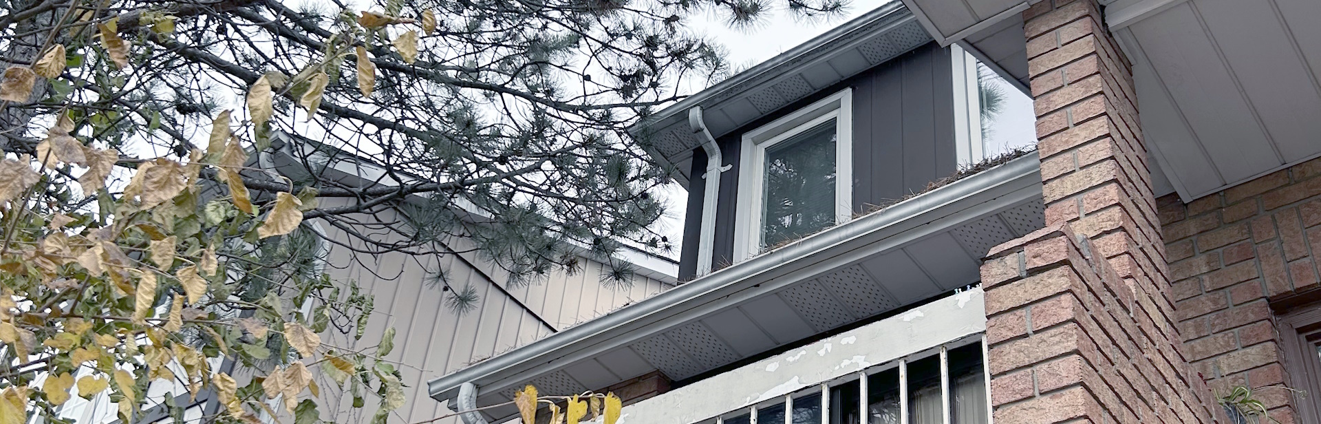 Professional Gutter Cleaning in Toronto: Which Option is Right for You?