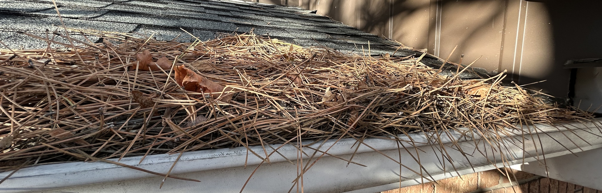 How Much Does Your Eavestrough Cleaning Cost in Toronto?