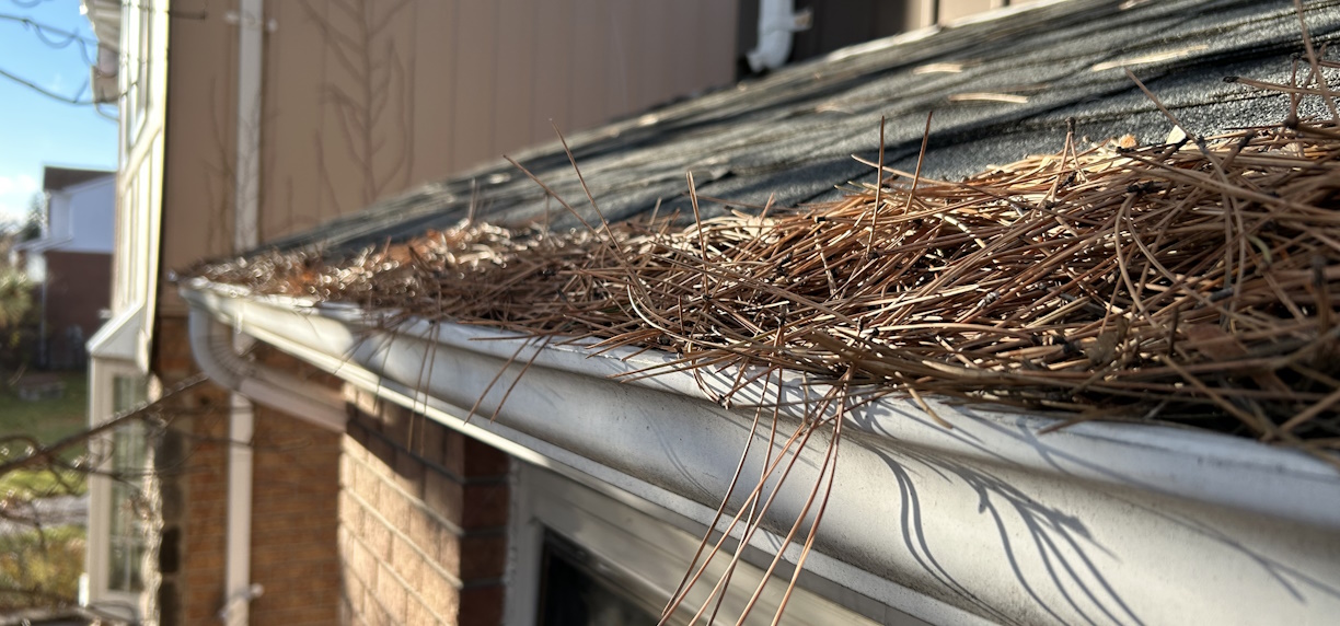 Professional Gutter Cleaning in Toronto