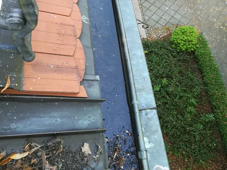 Why you need gutter cleaning?